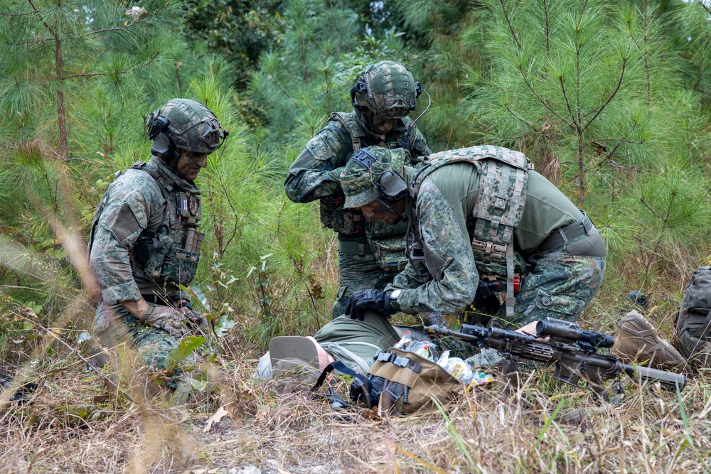 2nd ANGLICO Conduct Simulated Ambush with NATO Allies