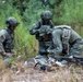 2nd ANGLICO Conduct Simulated Ambush with NATO Allies