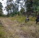 2nd ANGLICO Conduct Simulated Ambush with NATO Allies