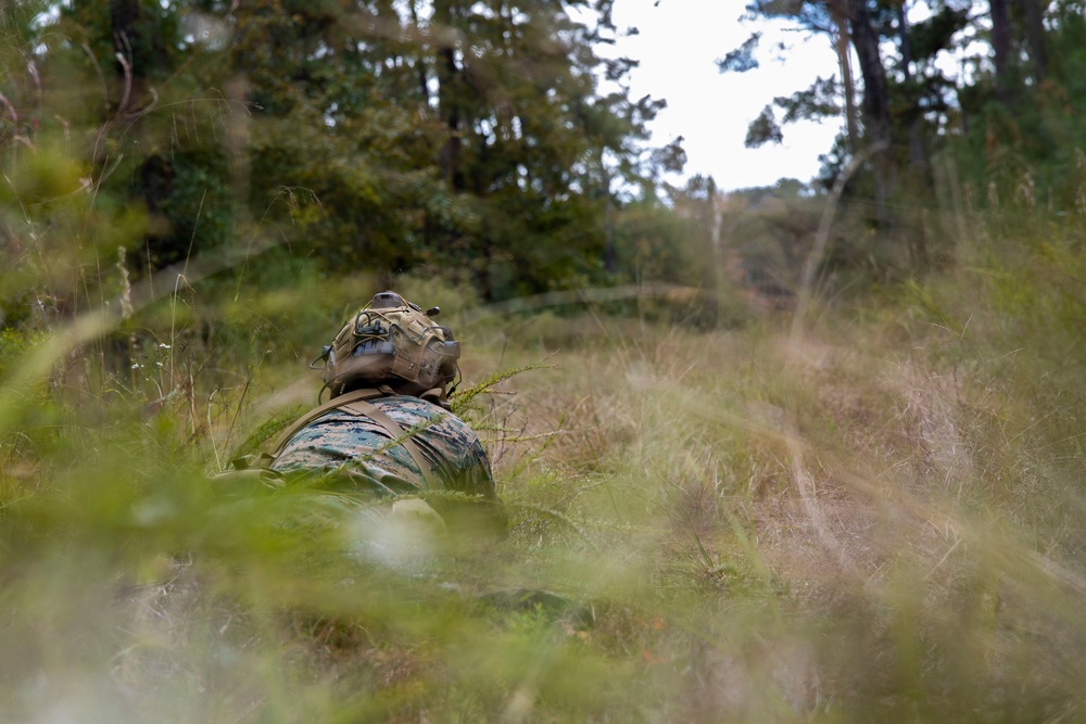 2nd ANGLICO Conduct Simulated Ambush with NATO Allies