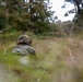 2nd ANGLICO Conduct Simulated Ambush with NATO Allies