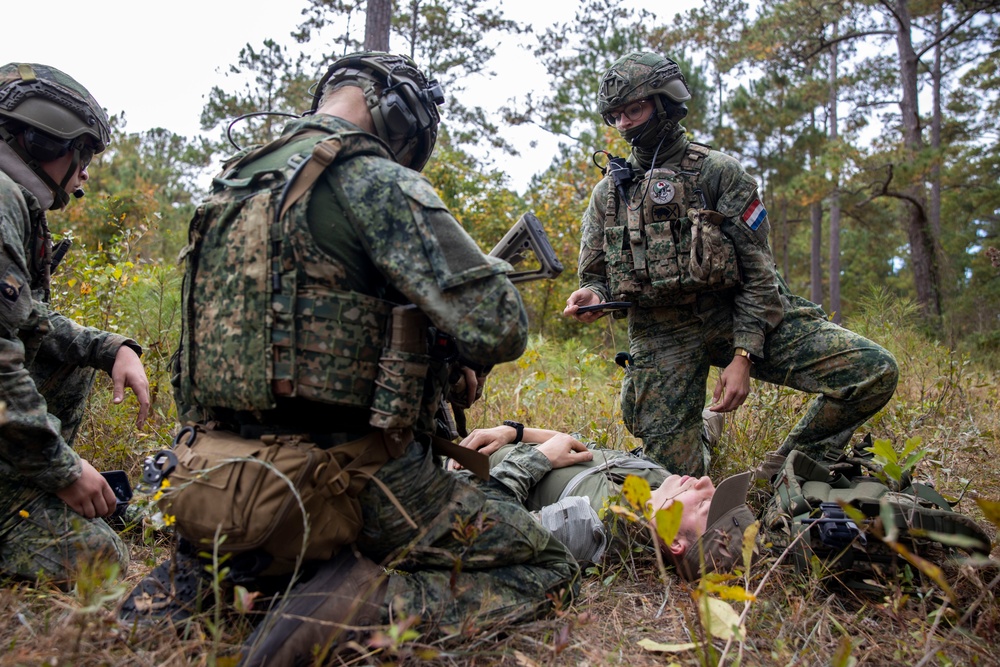 2nd ANGLICO Conduct Simulated Ambush with NATO Allies