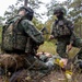 2nd ANGLICO Conduct Simulated Ambush with NATO Allies