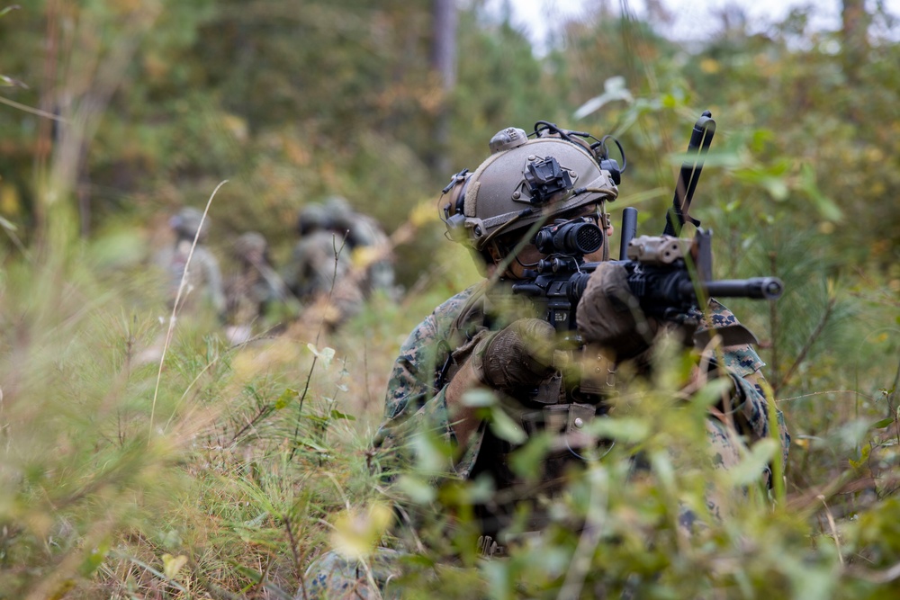 2nd ANGLICO Conduct Simulated Ambush with NATO Allies