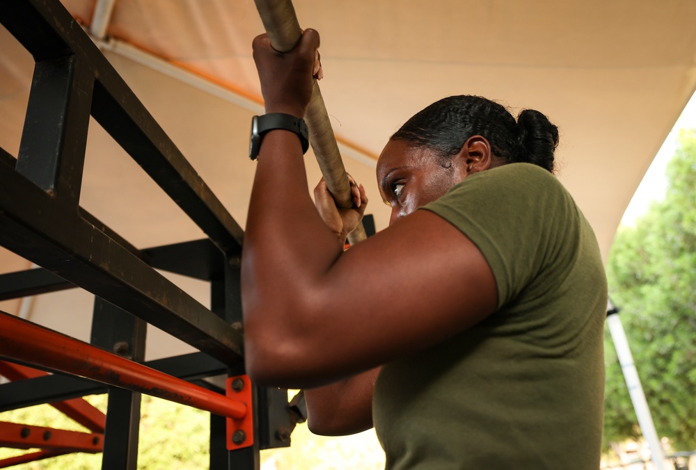 Marines and Sailors with Task Force 51/5 Celebrate the Marine Corps Birthday