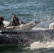 Marine Mammal Program Exhibition during Fleet Week San Diego