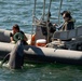 Marine Mammal Program Exhibition during Fleet Week San Diego