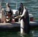 Marine Mammal Program Exhibition during Fleet Week San Diego