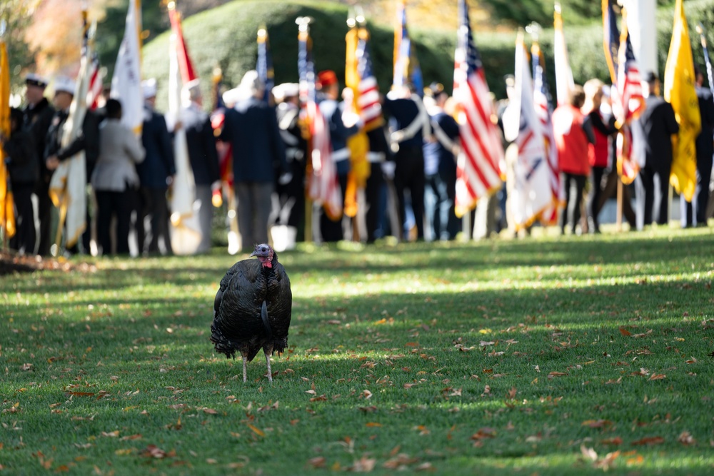 71st National Veterans Day Observance at Arlington National Cemetery