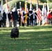 71st National Veterans Day Observance at Arlington National Cemetery