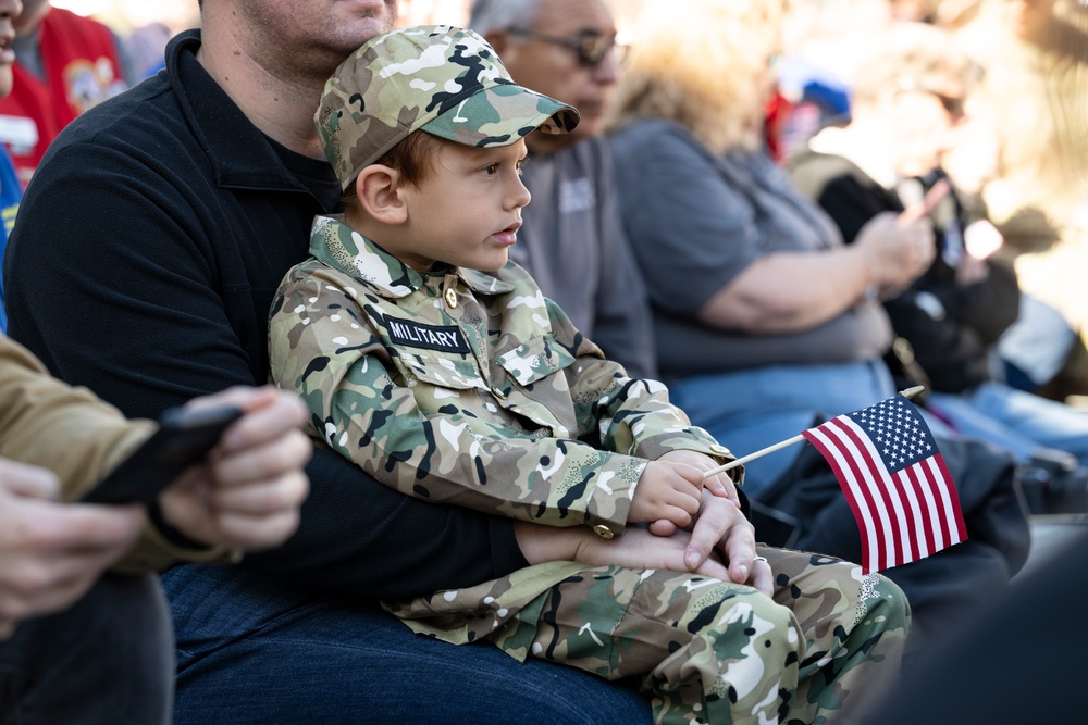 71st National Veterans Day Observance at Arlington National Cemetery