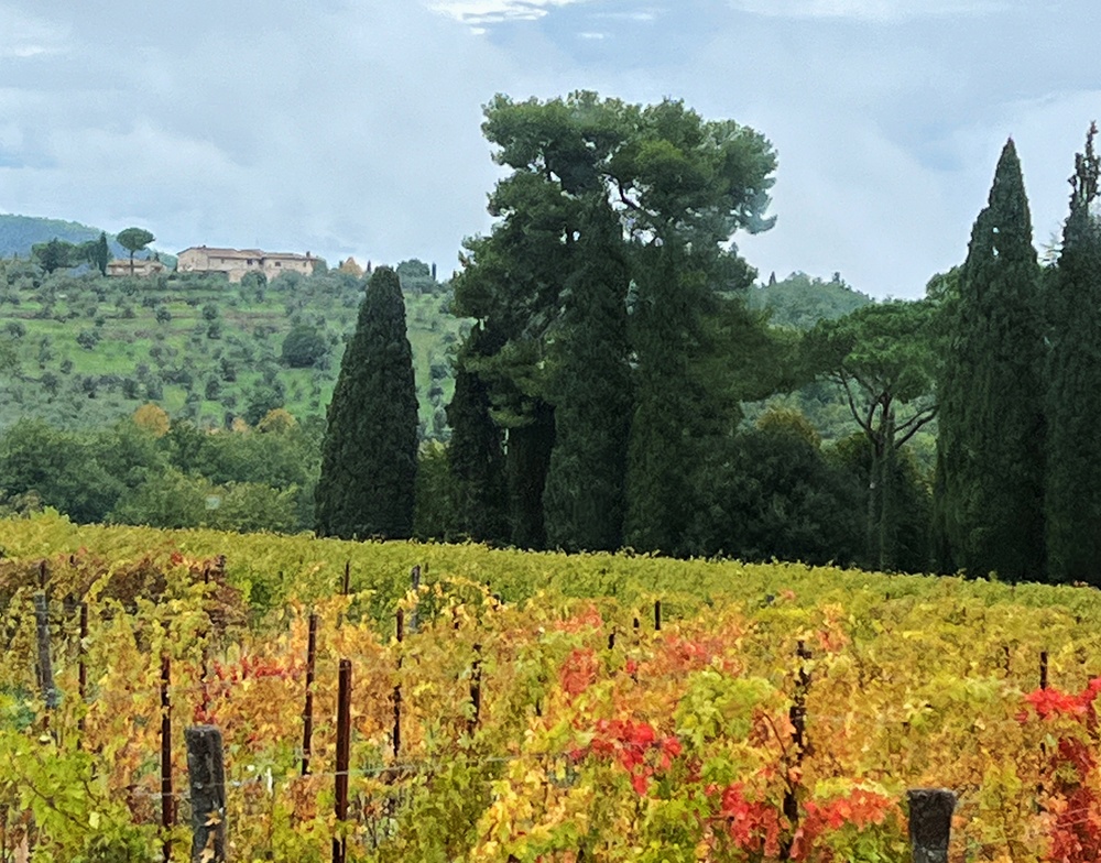 Discovering the heart of Chianti with Outdoor Recreation