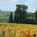 Discovering the heart of Chianti with Outdoor Recreation