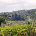 Discovering the heart of Chianti with Outdoor Recreation