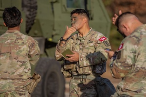 Summer Paint Night Spot