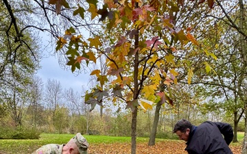 German - American Partnership Tree planting in Illesheim, Germany