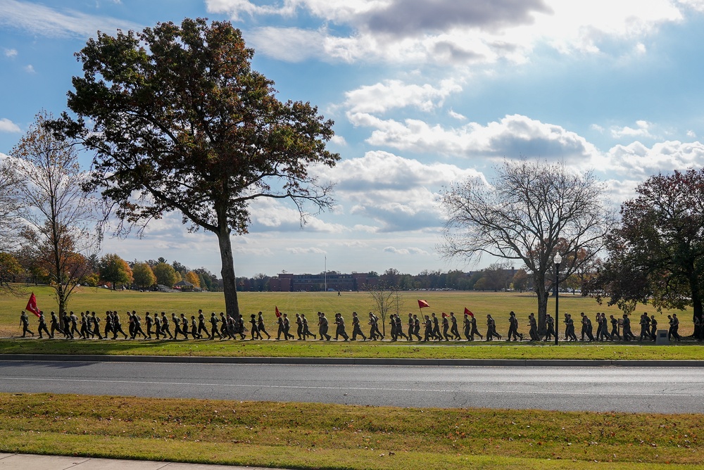 Running the Distance: Marines Log 249 Miles for the Corps’ 249th Birthday