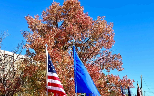 Airmen carry colors during Leavenworth Veterans Day Parade
