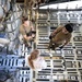 Steel Airmen support humanitarian aid to Honduras