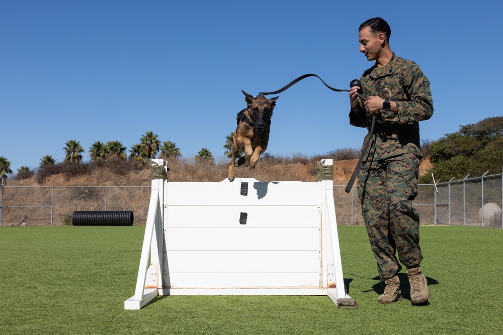 Poolees from RSS Westminster, Costa Mesa, and Orange Tour Camp Pendleton PMO Units