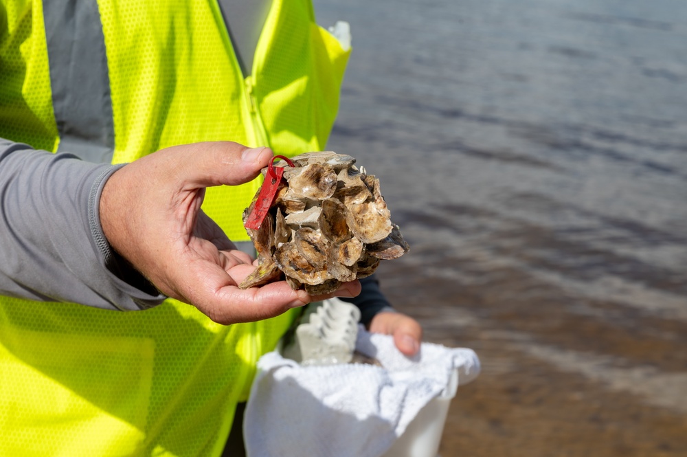 New reef project at Tyndall AFB aims to protect against storms