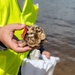 New reef project at Tyndall AFB aims to protect against storms