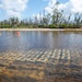 New reef project at Tyndall AFB aims to protect against storms