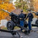 Veterans Day 21 Gun Salute