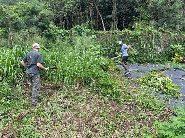 Haiku Valley Clean Up