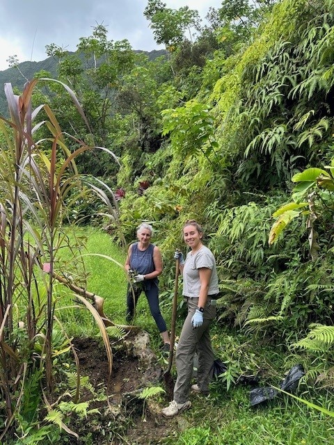 Haiku Valley Clean Up