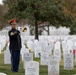 82nd Airborne Division honored in Arlington National by veterans association