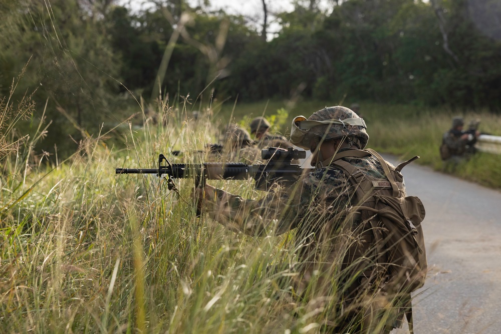 CLB-31 conducts battalion field exercise