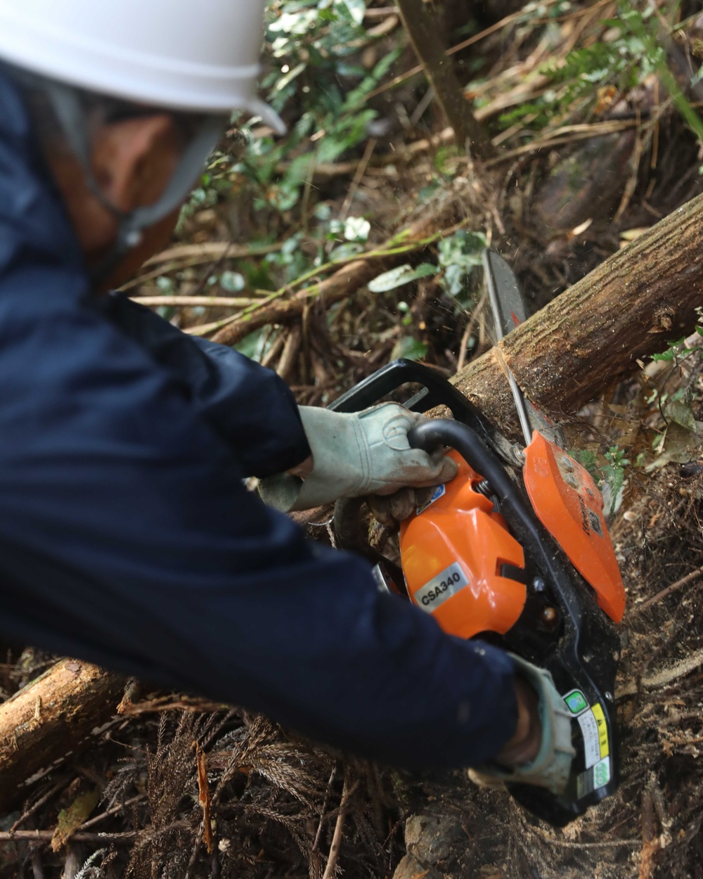 Path of the Samurai: MCAS Iwakuni chapel maintains historical trail