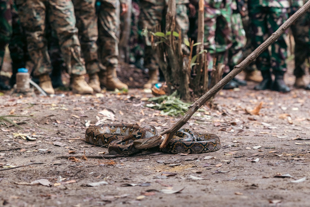 Keris MAREX 24: Jungle Survival Training