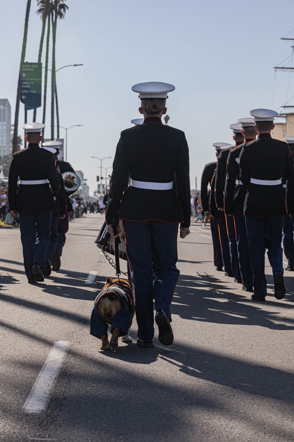 San Diego Veterans Day Parade