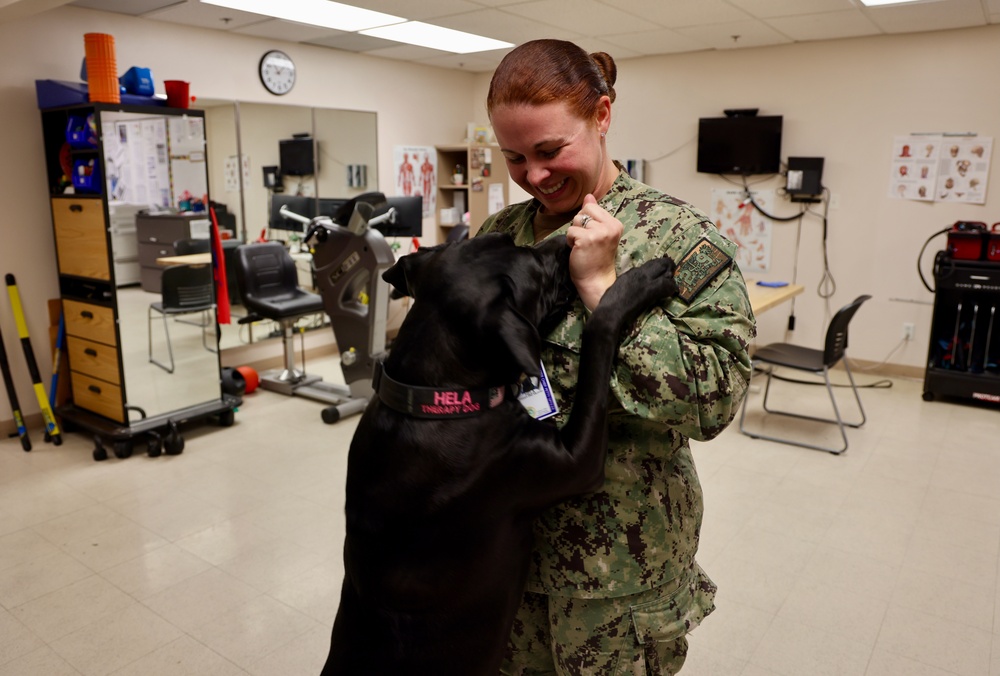 Therapy dog helps heal minds and hearts at Naval Hospital Twentynine Palms