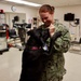 Therapy dog helps heal minds and hearts at Naval Hospital Twentynine Palms