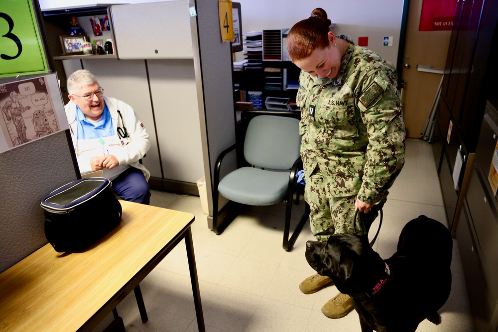 Therapy dog helps heal minds and hearts at Naval Hospital Twentynine Palms