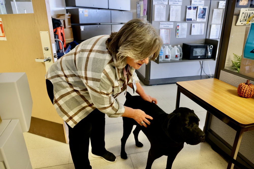 Therapy dog helps heal minds and hearts at Naval Hospital Twentynine Palms