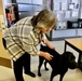 Therapy dog helps heal minds and hearts at Naval Hospital Twentynine Palms