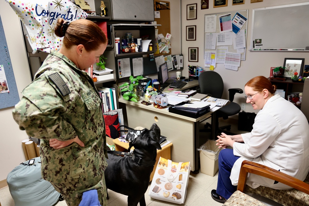 Therapy dog helps heal minds and hearts at Naval Hospital Twentynine Palms