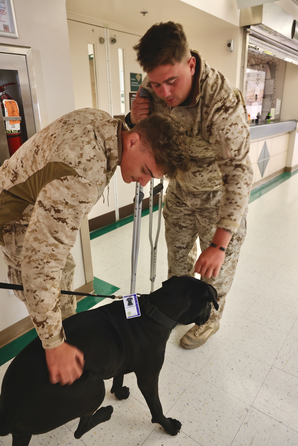 Therapy dog helps heal minds and hearts at Naval Hospital Twentynine Palms