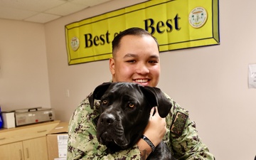 Therapy dog helps heal minds and hearts at Naval Hospital Twentynine Palms