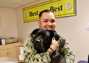 Therapy dog helps heal minds and hearts at Naval Hospital Twentynine Palms