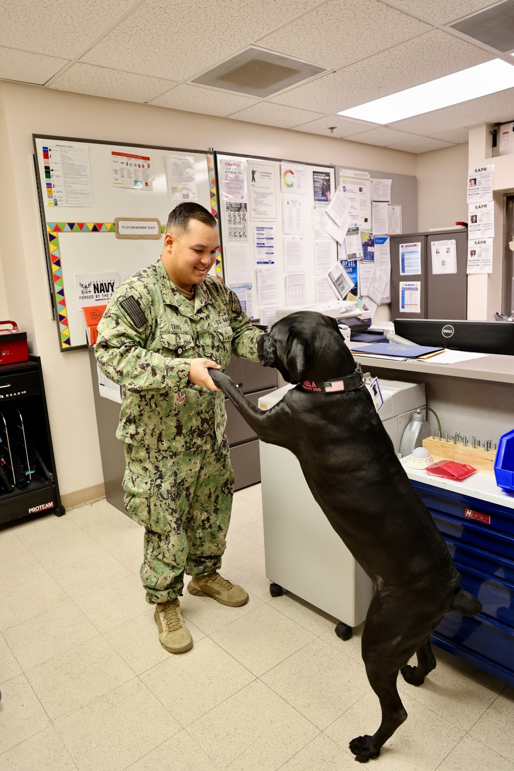 Therapy dog helps heal minds and hearts at Naval Hospital Twentynine Palms