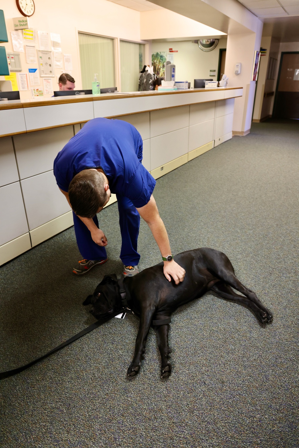 Therapy dog helps heal minds and hearts at Naval Hospital Twentynine Palms