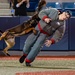 45th Security Forces Squadron competes in 2024 Space Coast K-9 Competition