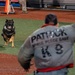 45th Security Forces Squadron competes in 2024 Space Coast K-9 Competition