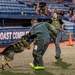 45th Security Forces Squadron competes in 2024 Space Coast K-9 Competition