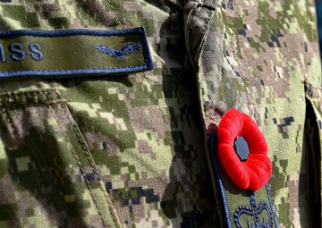 Canada raises flag joining international reprogramming lab team